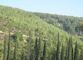 Le parc de Na'hal Hachofeth